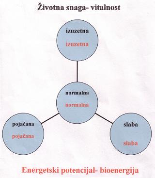 Sam svoj kreator - Snaga