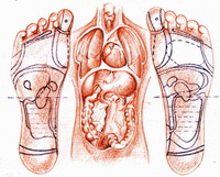 stopla, tijelo, refleksoloske zone