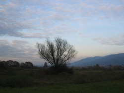 Mudre crtice koje tjeraju na razmišljanje