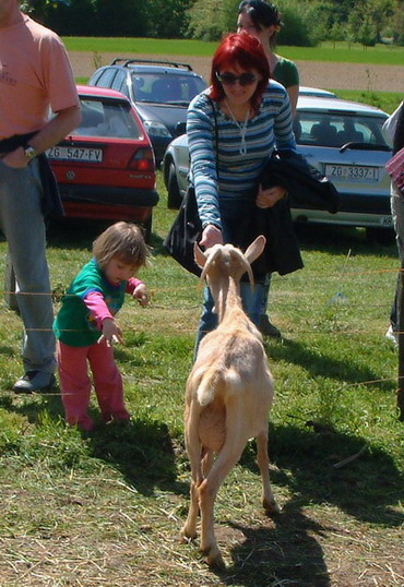 Zrno, bioekološko imanje