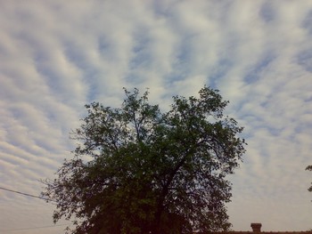 Čudesna igra oblaka