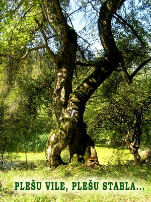 TRAMUNTANA - povijest i umjetnost u prirodi