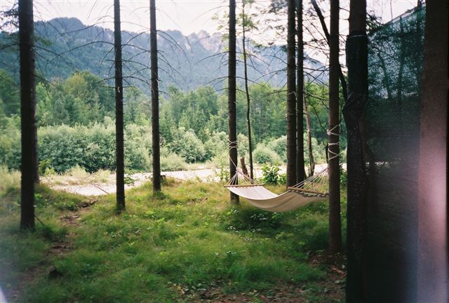 KAMP GOZD - 2008, GOZD MARTULJEK, JULIJSKE ALPE, SLOVENIJA