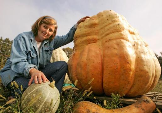 Obitelj kraj Velike Gorice uzgojila bundevu od 247 kg