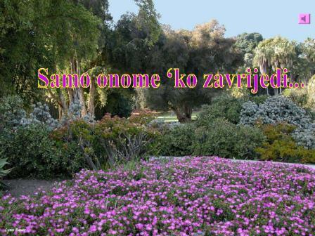 Želim ti lijep dan!