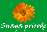 Snaga prirode