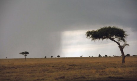 Meteorolozi pod ruku s ‘vračevima’