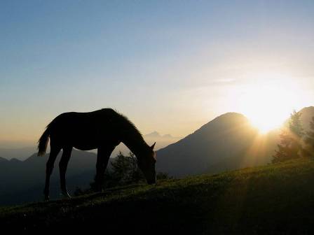 Planina Brokeback