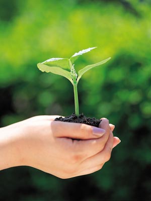 OKULTNI PRINCIPI ZDRAVLJA I LIJEČENJA - Razlozi za vegeterijansku ishranu