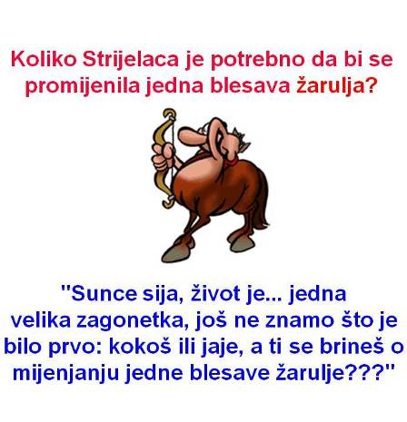 Godišnji horoskop-STRIJELAC