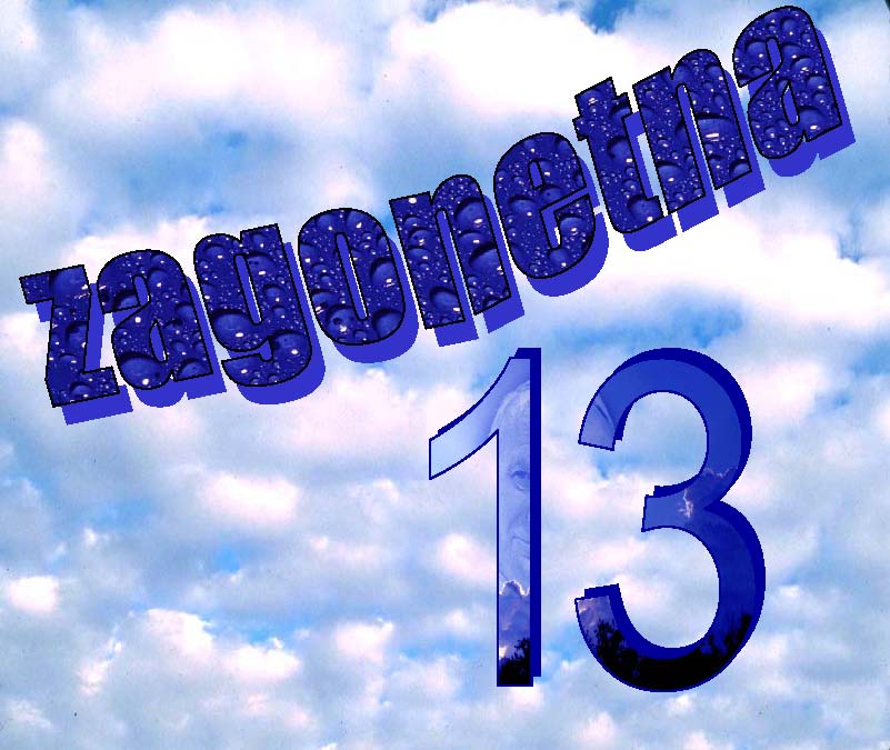 Zagonetna trinaestica