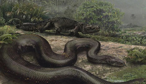 Pronađen fosil zmije od tone i četvrt