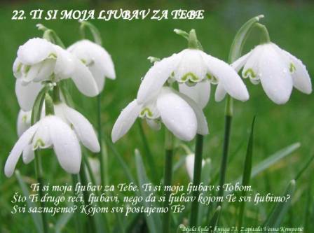 Ti si moja ljubav...