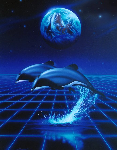 Dolphin meditation: 