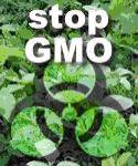 Stop GMO
