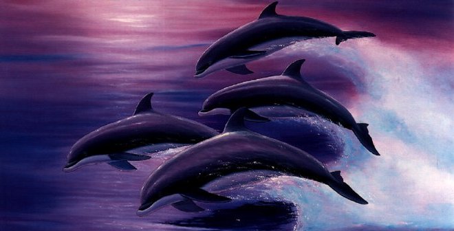 Eutanazirali kitove