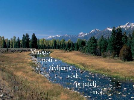 Mnogo poti v življenje