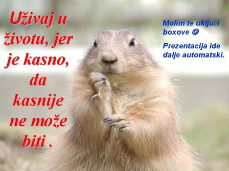 Uživaj u životu