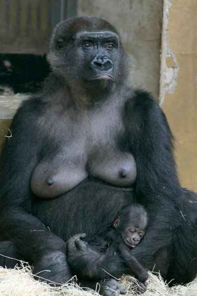 Svuda isto !!!!!!!!!!!!!!