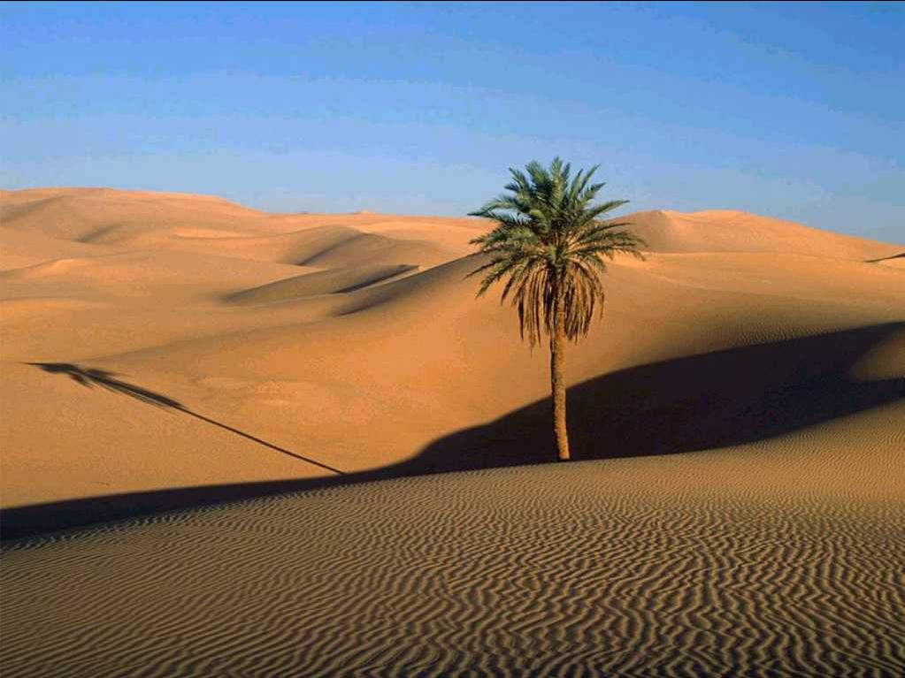 Besplatno tumačenje snova - Turmalino (pustinja, pijesak, zalazak sunca...)