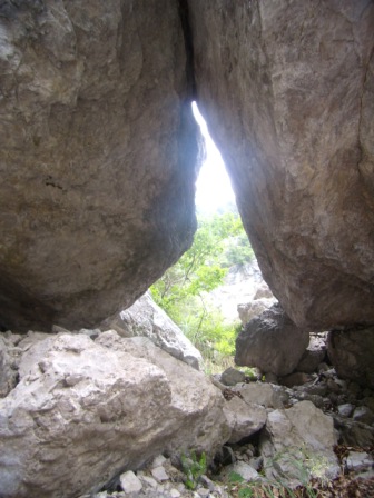 Kamp GOZD - 2009, Gozd Martuljek, Julijske Alpe, Slovenija