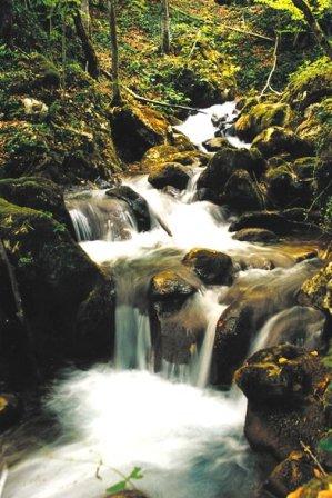 Mineralne vode i njihova uloga u liječenju