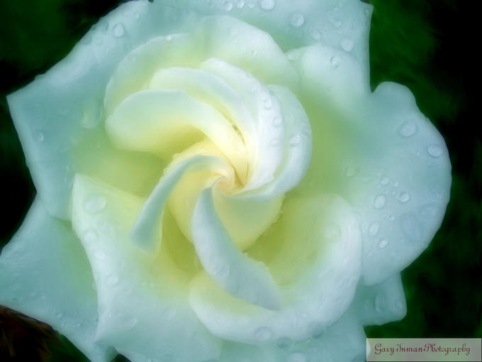 OD SVEGA JEDINO TI..