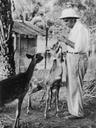 Dogodilo se na današnji dan...14. siječnja