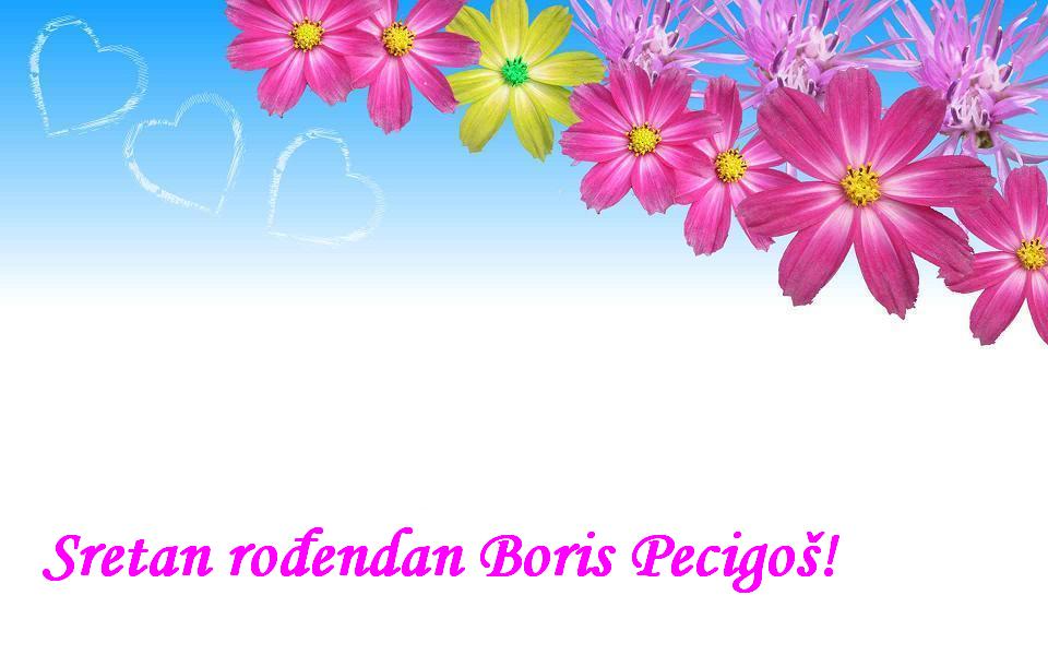 Sretan rođendan Boris Pecigoš!