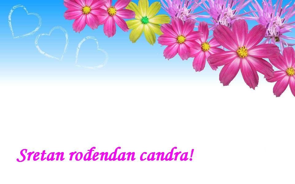 Sretan rođendan candra!