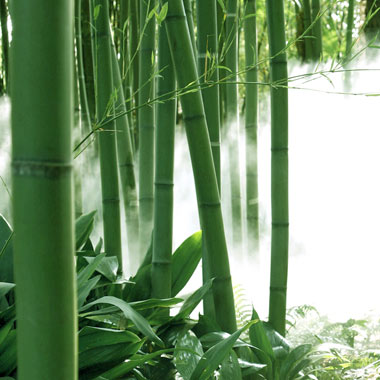Podovi i namještaj od bambusa