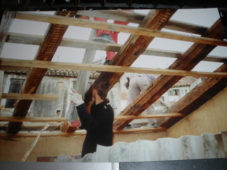 ....zašto uvijek ja moram radit?....