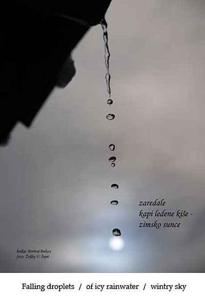 HAIGA