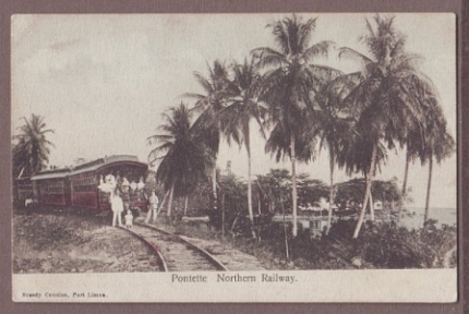  Fotos de Limón. (Slike od limuna.)