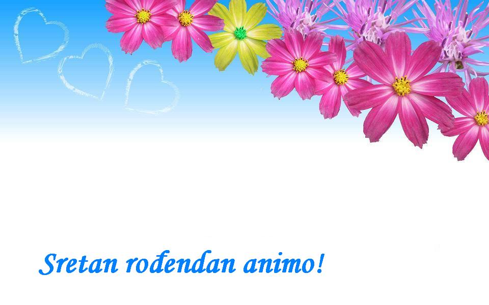 Sretan rođendan animo!