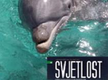 Moć telepatije i izvantjelesna iskustva delfina