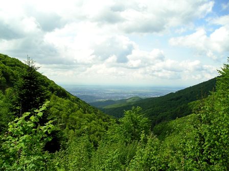 Na vrhu planine