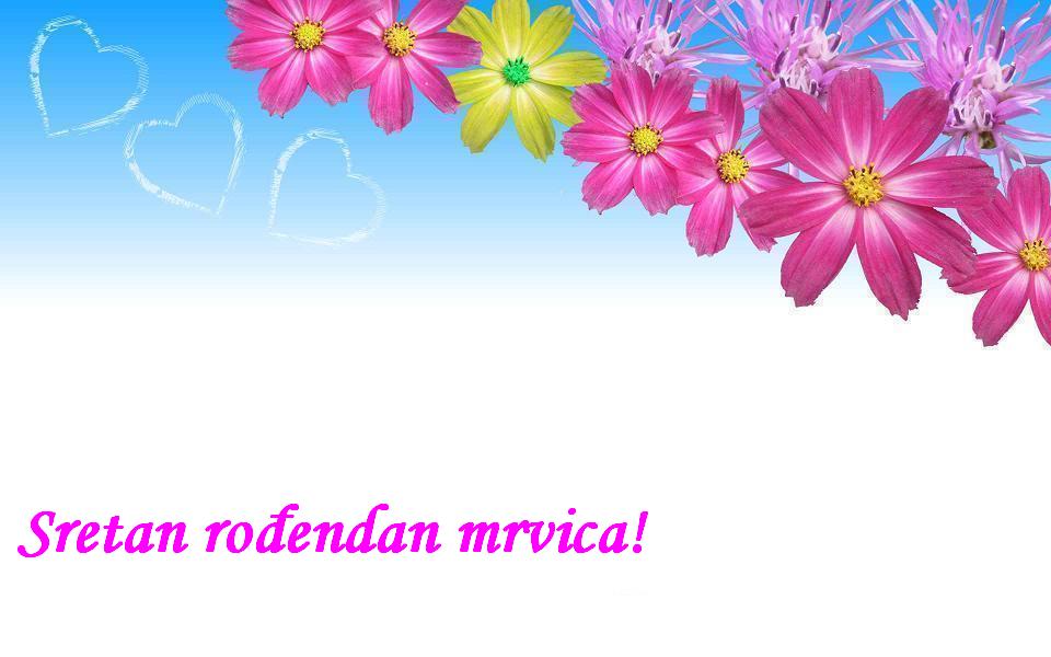 Sretan rođendan mrvica!