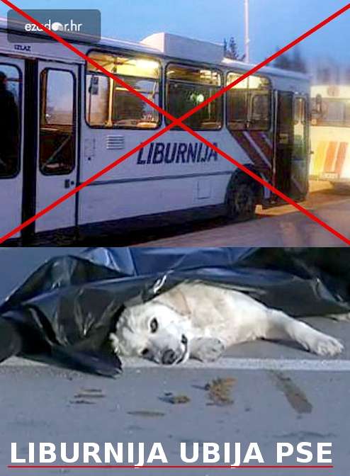 OPREZ: Autobuse voze ubojice pasa!