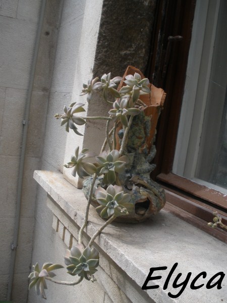 ....slike iz djetinjstva...