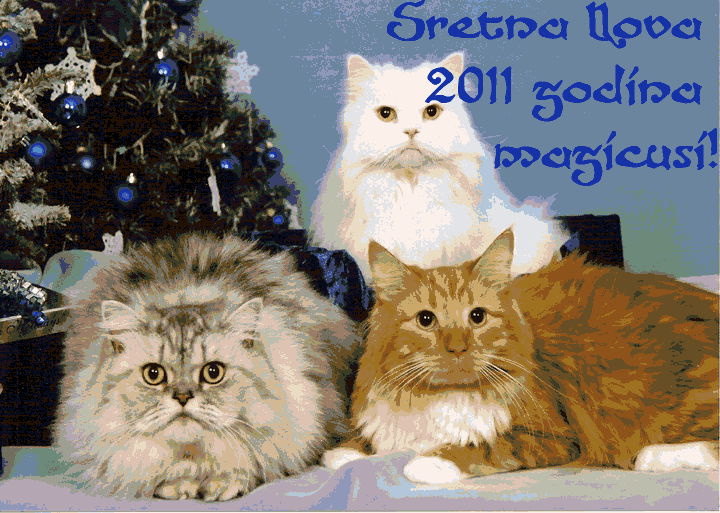 Sretna Nova 2011 godina magicusi!