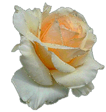Empirejska ruža...