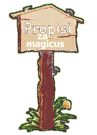 PRAVILA PONAŠANJA na magicusu