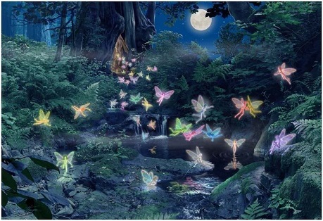 fairies