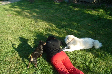 WENDYNE SLIKE IZ ŠETNJE