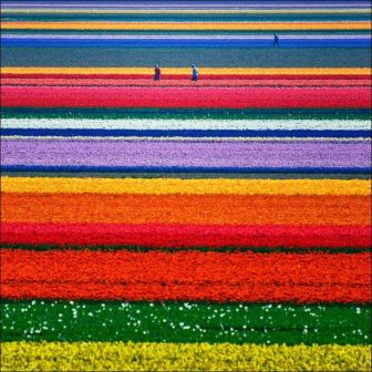 Nizozemska u svibnju - ako vam se dan nije obojao jutros!!