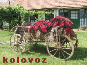   Kolovoz 2014