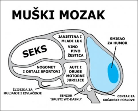 Muškarac = PMS? Šamar u facu ženama