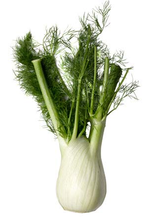 Vegetarijanska kuhinja - Koromač krumpirom