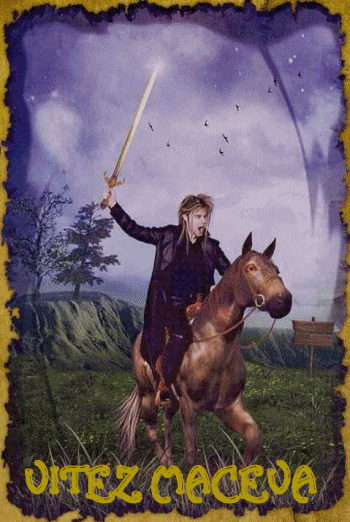 Mystic Dreamer Tarot: VITEZ MAČEVA